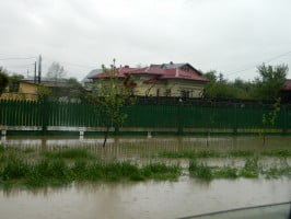 DSCN0980