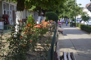mioveni (3)